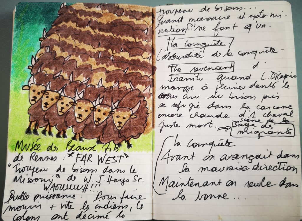 bison